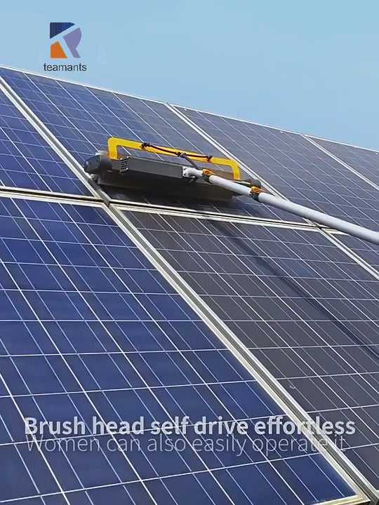 Handheld Rolling Brush EB-02 - Dual Power